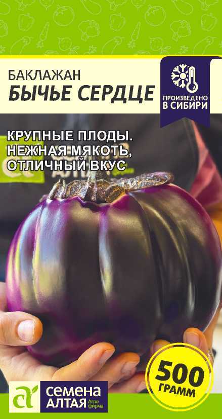 00-00036804
