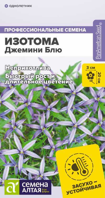 Изотома джемини
