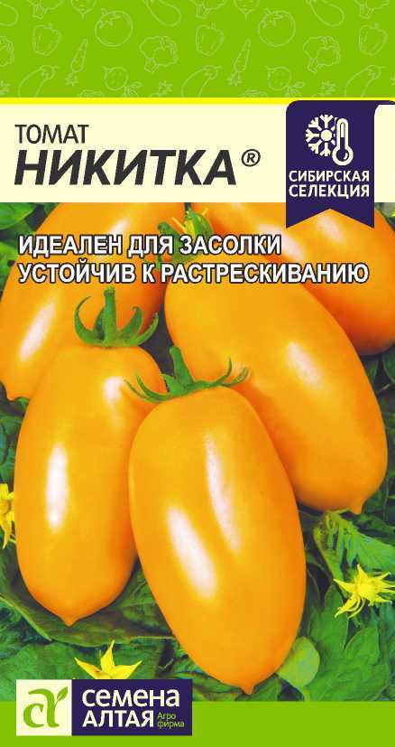 Никитка цп