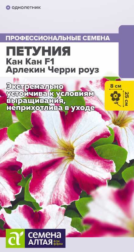 00-00033863