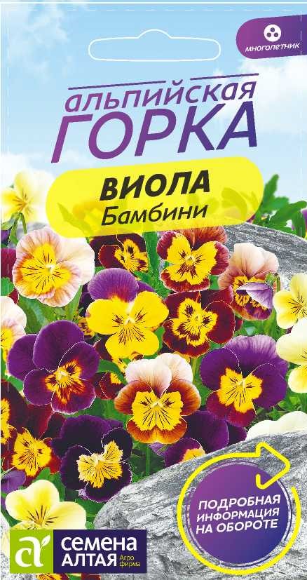 Бамбини 2