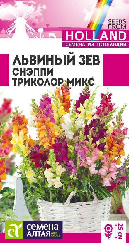 Снэппи триколор