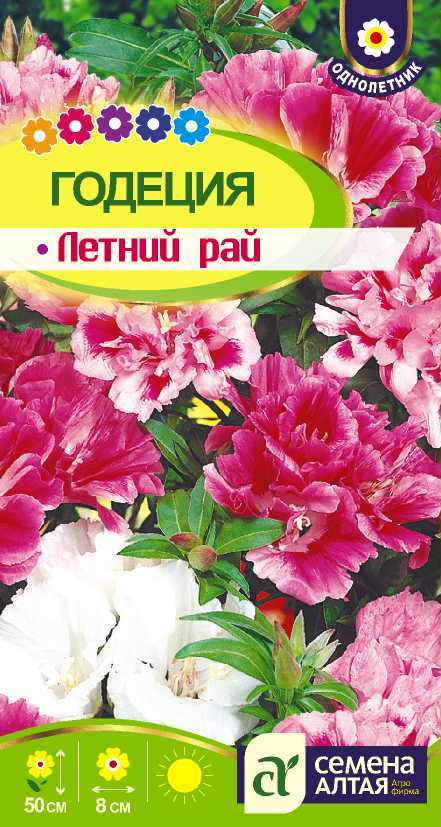 Годеция летний рай цп