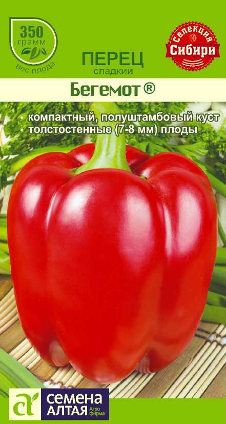 Бегемот цп