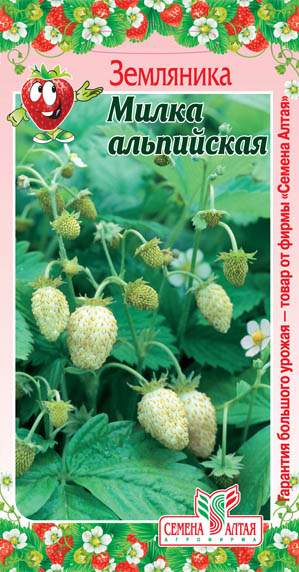 Милка альпийская