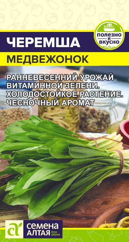 Черемша медвежонок