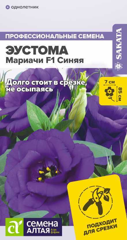 00-00012970