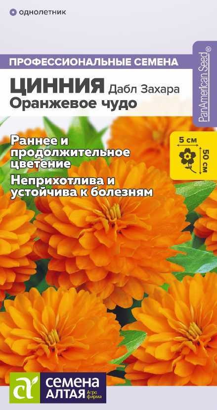 Цинния Оранжевое чудо