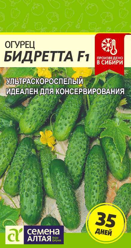 Бидретта цп