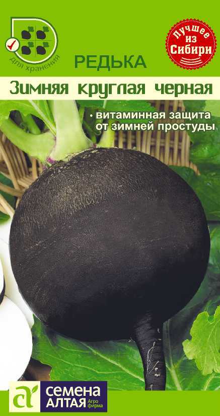 Зимняя круглая черная цп