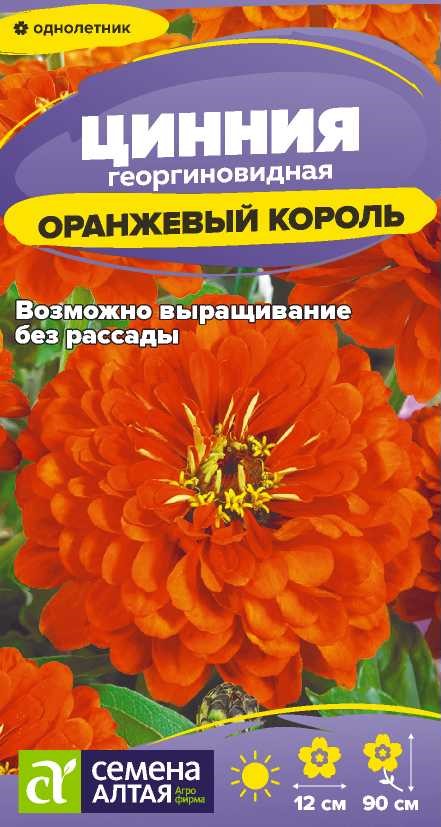 Цинния Оранжевый король