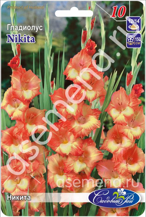 Никита