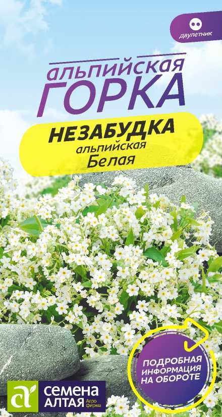 Незабудка Белая