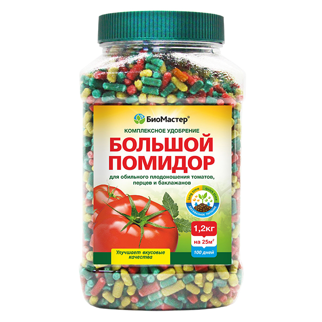pomidor