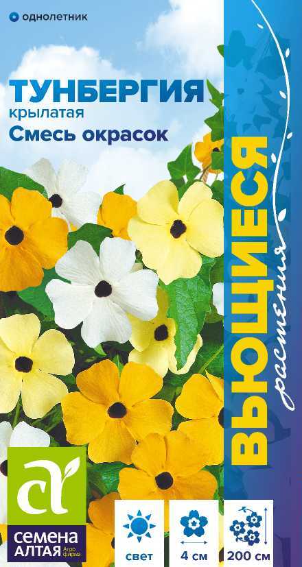 Тунбергия смесь крылатая