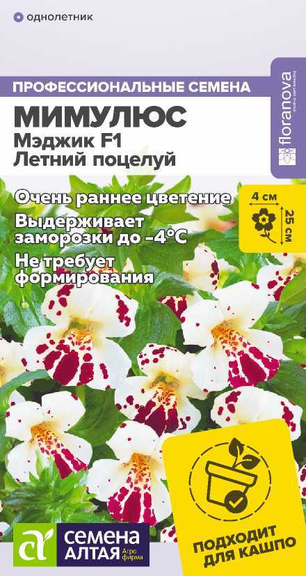 Мимулюс летний поцелуй