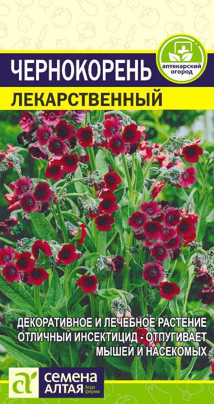 Чернокорень 2