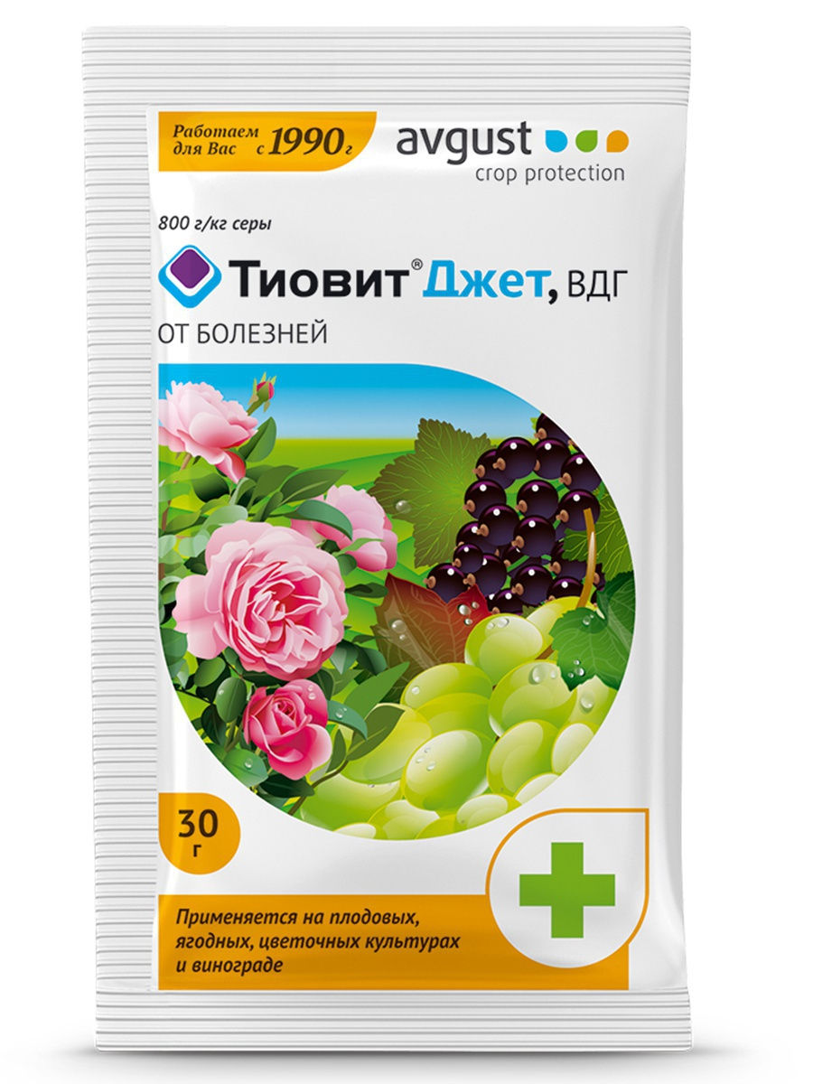 Тиовит джет