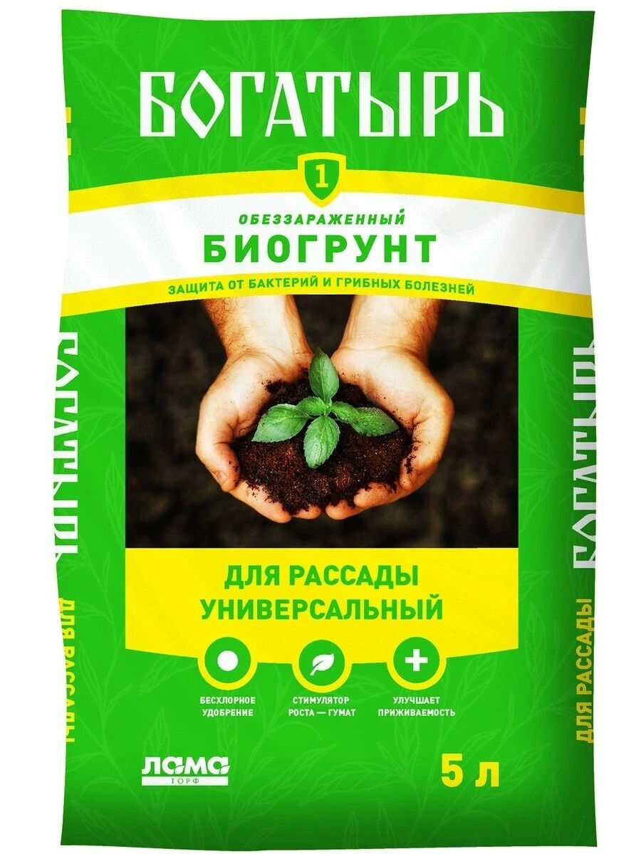 bogatyir-5