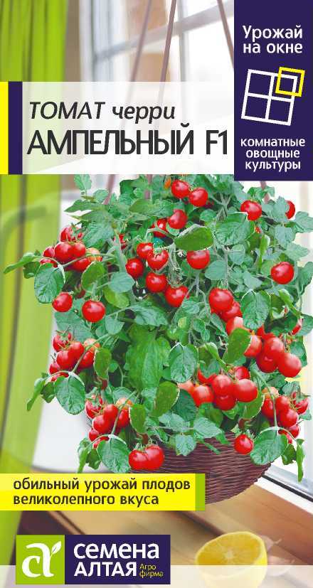 Ампельный черри