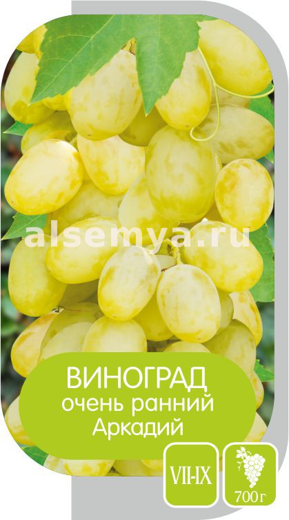 Аркадий 2