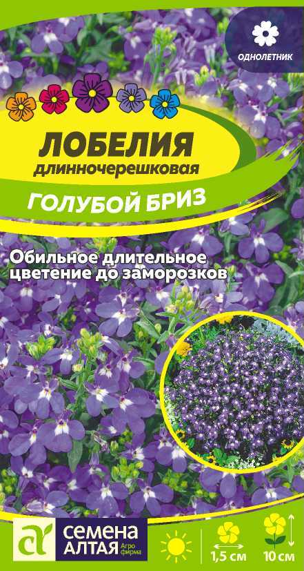 Лобелия Голубой бриз