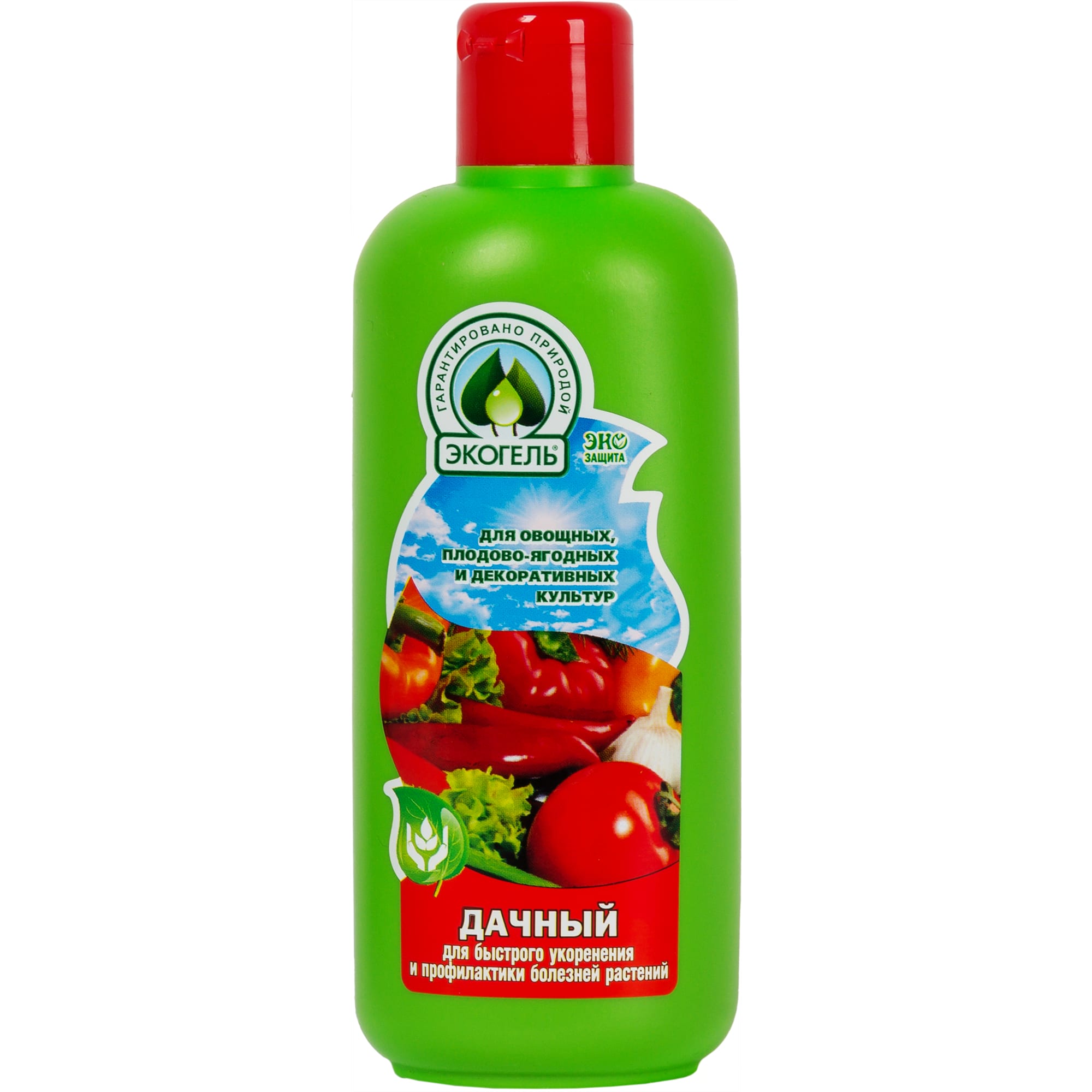 ecogel-dachnuyi