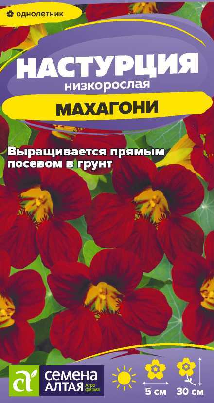 Настурция Махагони