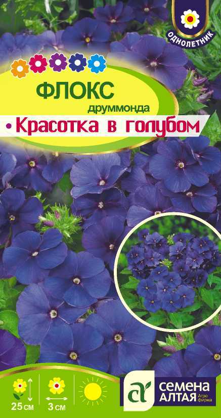 Красотка в голубом цп