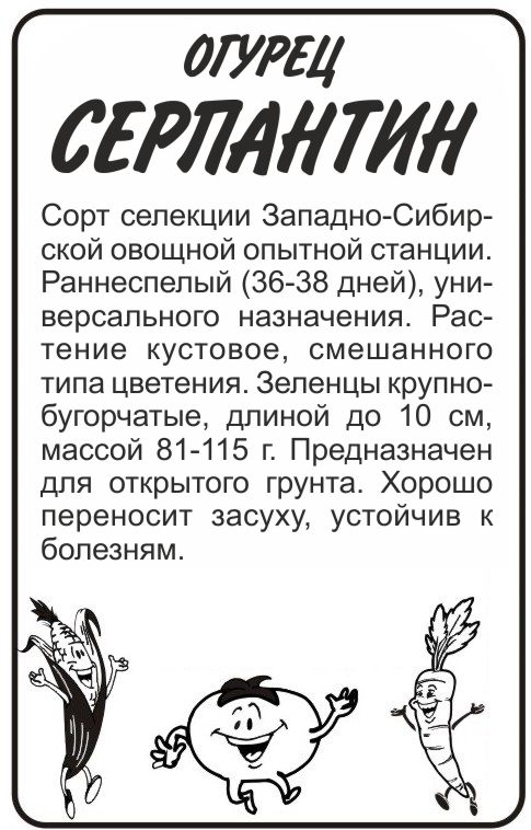 Серпантин бп