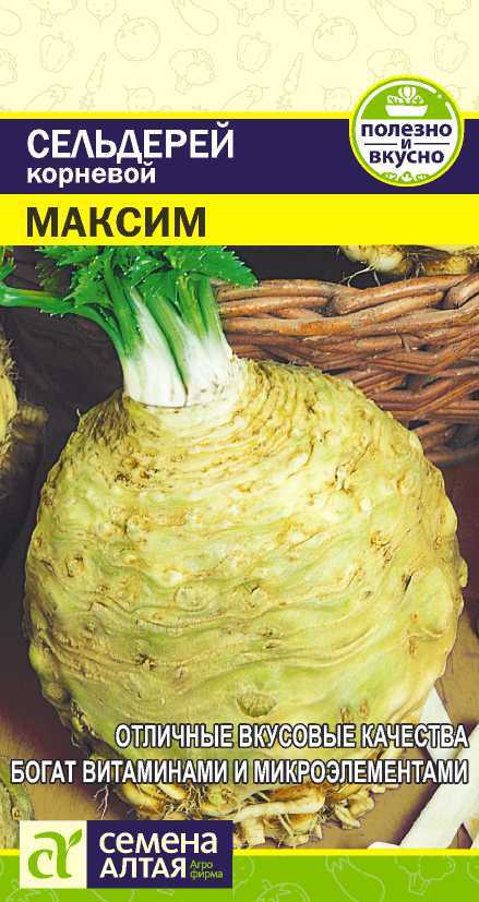 Сельдерей Максим