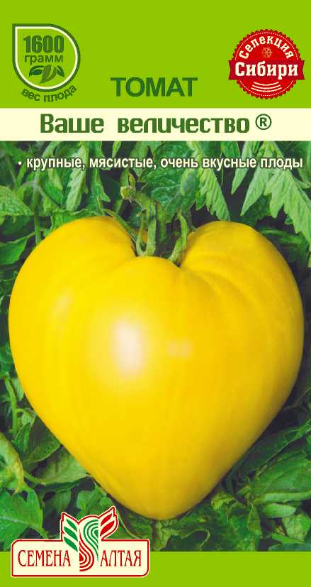 Ваше величество СС