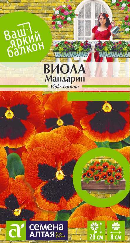 Мандарин
