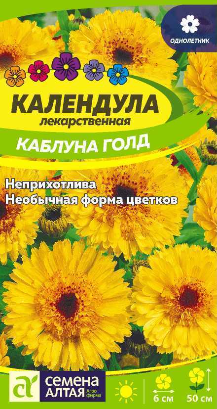 Календура Каблуна голд