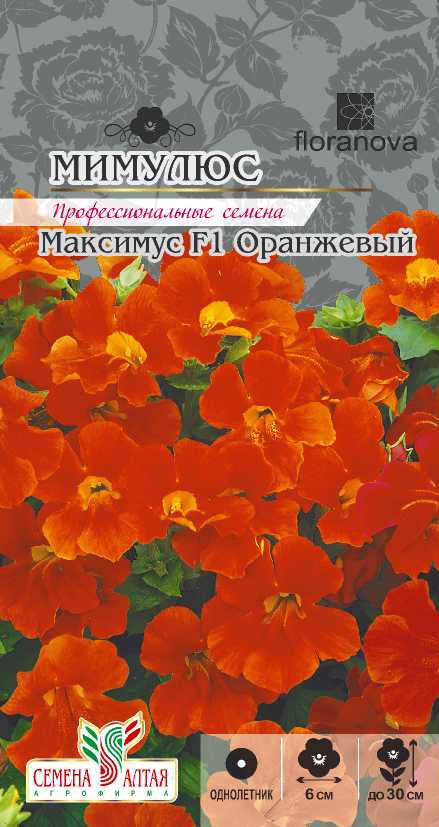 Мимулюс максимус оранжевый