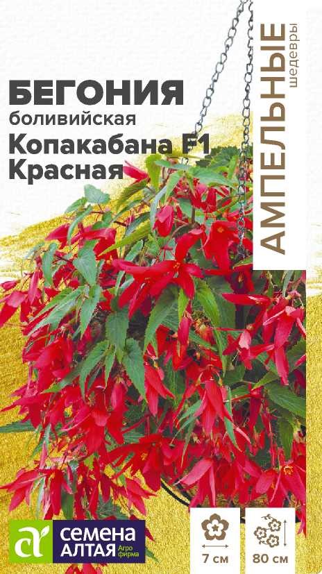 Бегония Копакабана F1 Красная