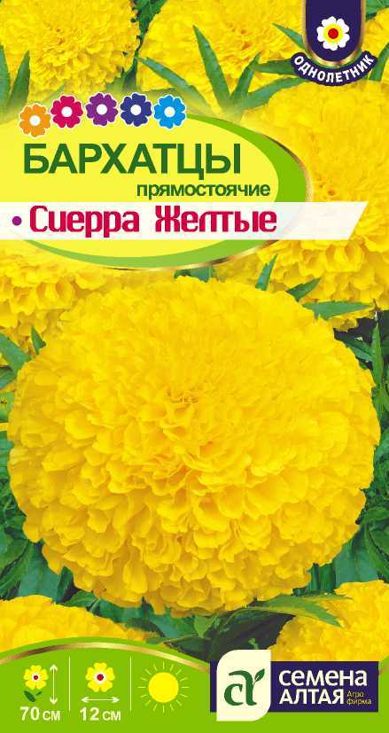 Сиерра желтые цп