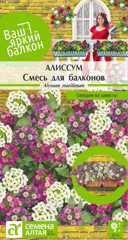 Алиссум Смесь для балконов цп