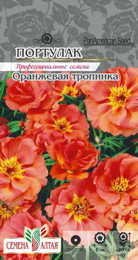Оранжевая тропинка