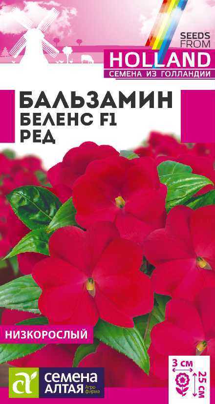 Бальзамин беленс ред