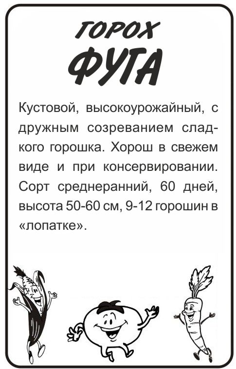 Фуга бп