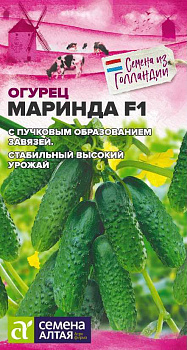 Огурец Маринда F1/Сем Алт/цп 5 шт.р Seminis (Голландские Семена)