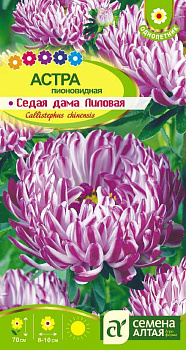 Цветы Астра Седая Дама Лиловая/Сем Алт/цп 0,2 гр.