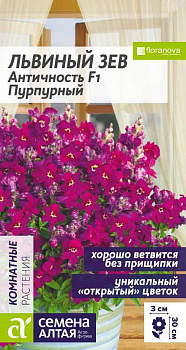 Цветы Львиный зев Античность F1 Пурпурный/Сем Алт/цп 7 шт.