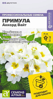 Цветы Примула Аккорд Вайт/Сем Алт/цп 5 шт двулетник