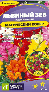 Цветы Львиный зев Магический Ковер/Сем Алт/цп 0,2 гр.