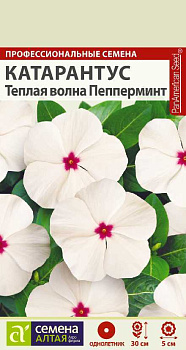 Цветы Катарантус Теплая волна Пеперминт/Сем Алт/цп 7 шт. НОВИНКА