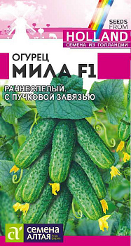 Огурец Мила F1/Сем Алт/цп 5 шт. Seminis (Голландские Семена)