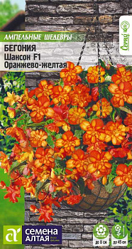 Цветы Бегония Шансон Оранжево - желтая ампельная клубневая/Сем Алт/цп 5 шт. Ампельные шедевры
