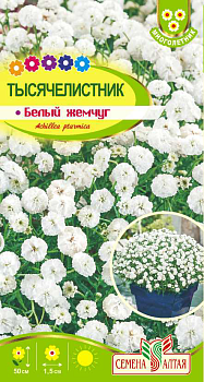 Цветы Тысячелистник Белый жемчуг/Сем Алт/цп 0,1 гр. многолетник